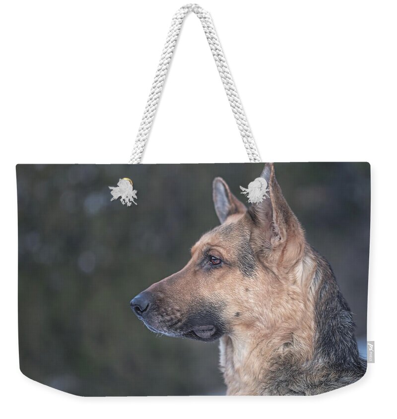 Animal Weekender Tote Bag featuring the photograph Liesl #1 by Brian Cross