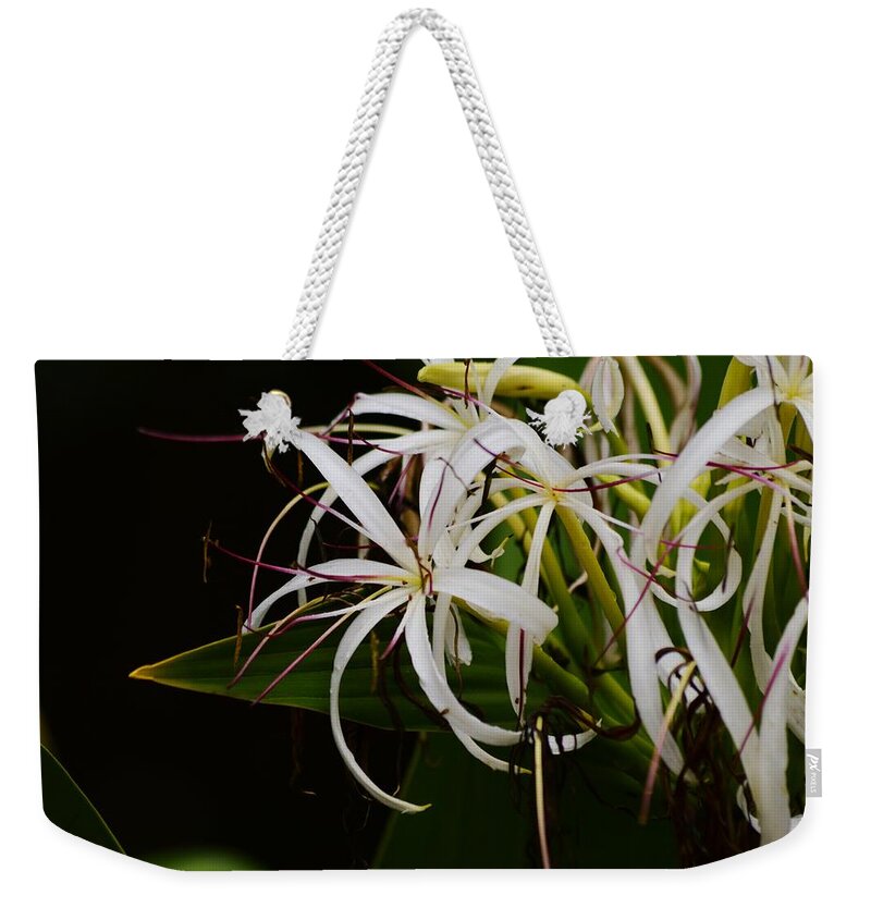 Lily Of The Nile Macro Weekender Tote Bag featuring the photograph Lily of the Nile Macro #1 by Warren Thompson