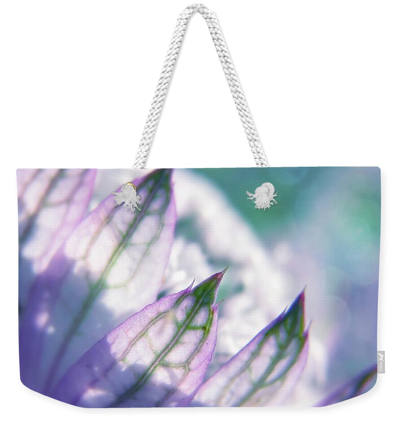 Astrantia Major Weekender Tote Bag featuring the photograph Lost In A Daydream #1 by John Poon