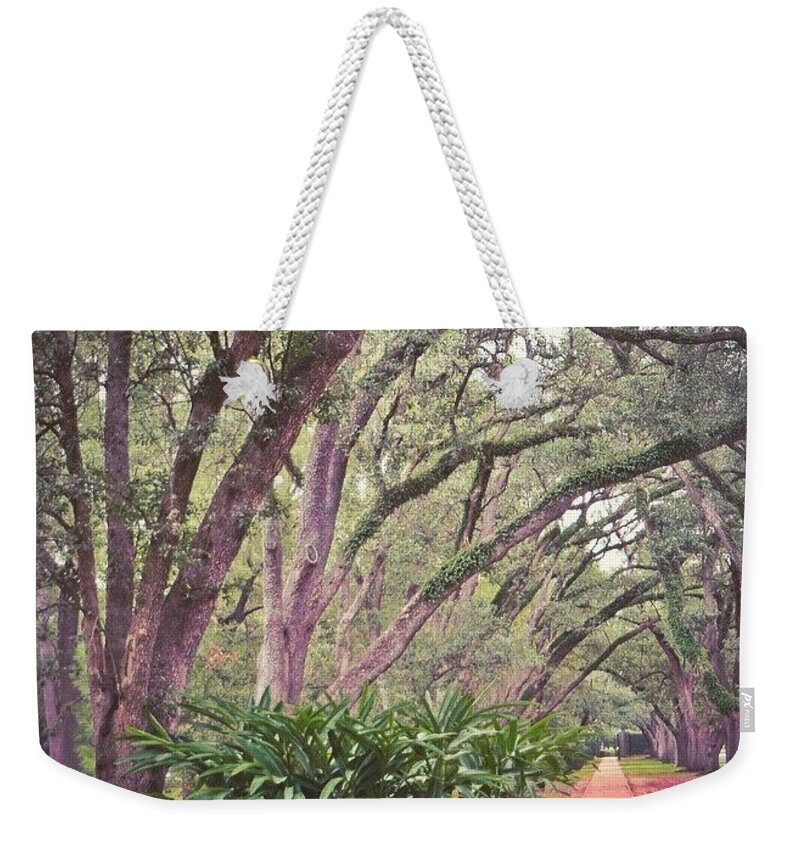 Beautiful Weekender Tote Bag featuring the photograph Love The #liveoak #trees And This #1 by Austin Tuxedo Cat
