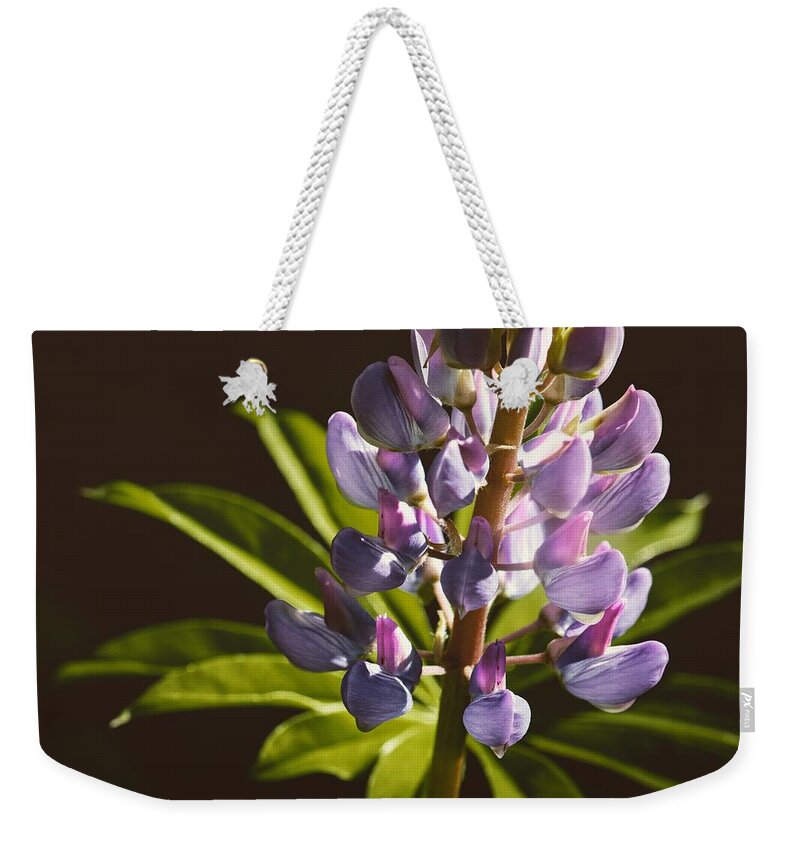 Lupine Weekender Tote Bag featuring the photograph Lupines #1 by Holly Ross