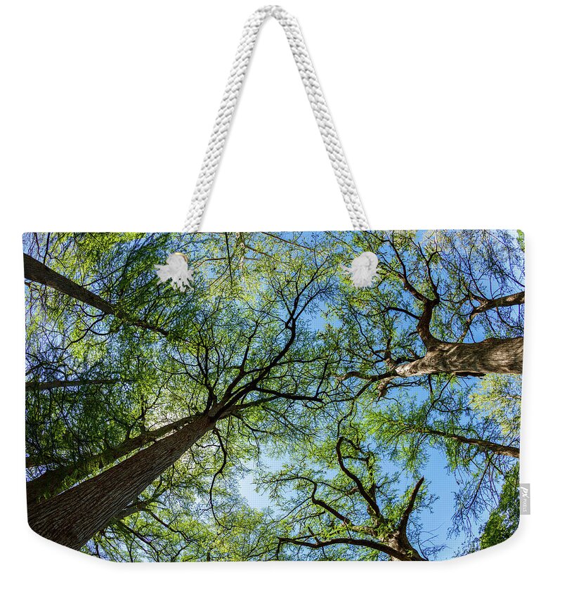 Austin Weekender Tote Bag featuring the photograph Majestic Cypress Trees by Raul Rodriguez