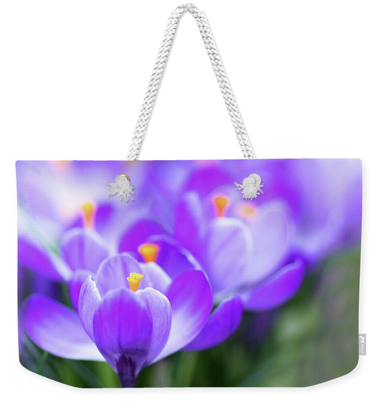 Crocus Weekender Tote Bag featuring the photograph Marching into Spring #1 by Rebecca Cozart