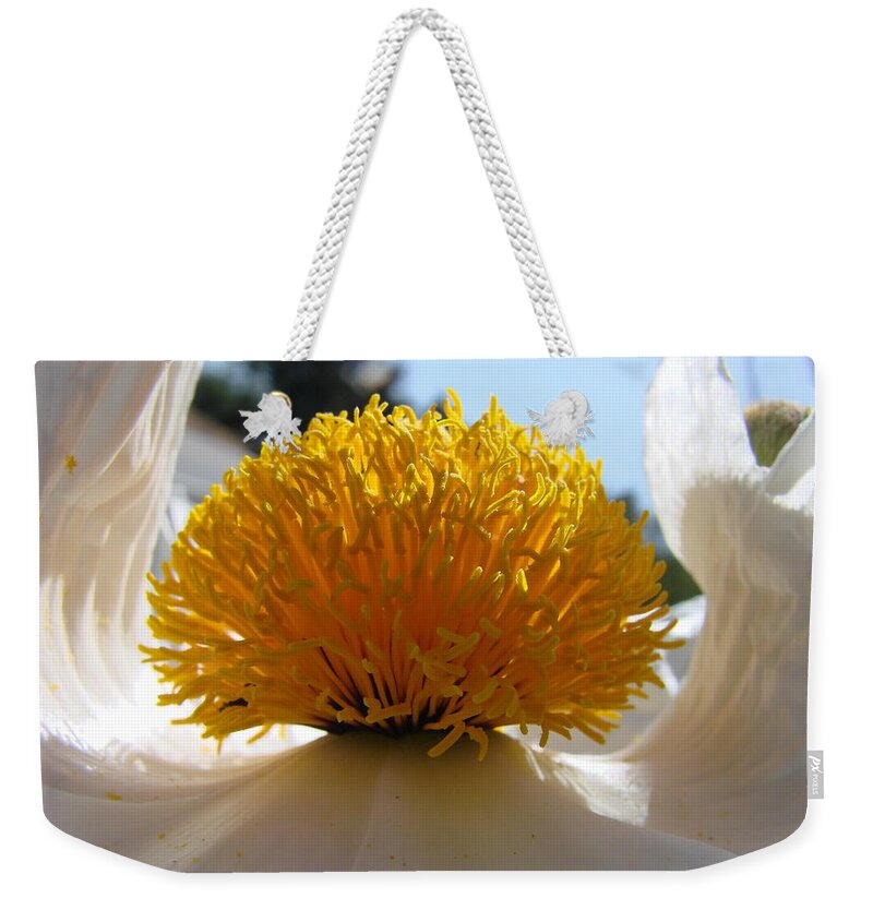 Poppy Weekender Tote Bag featuring the photograph Matilija Poppy #1 by Liz Vernand