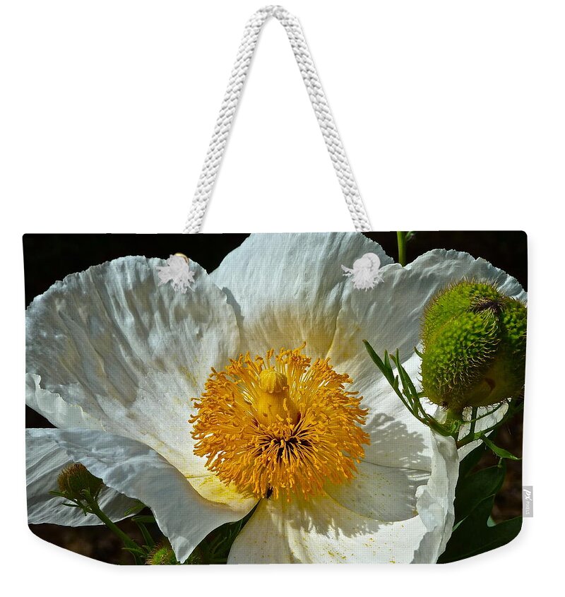 Flowers Weekender Tote Bag featuring the photograph Matilija Poppy Three #1 by Diana Hatcher