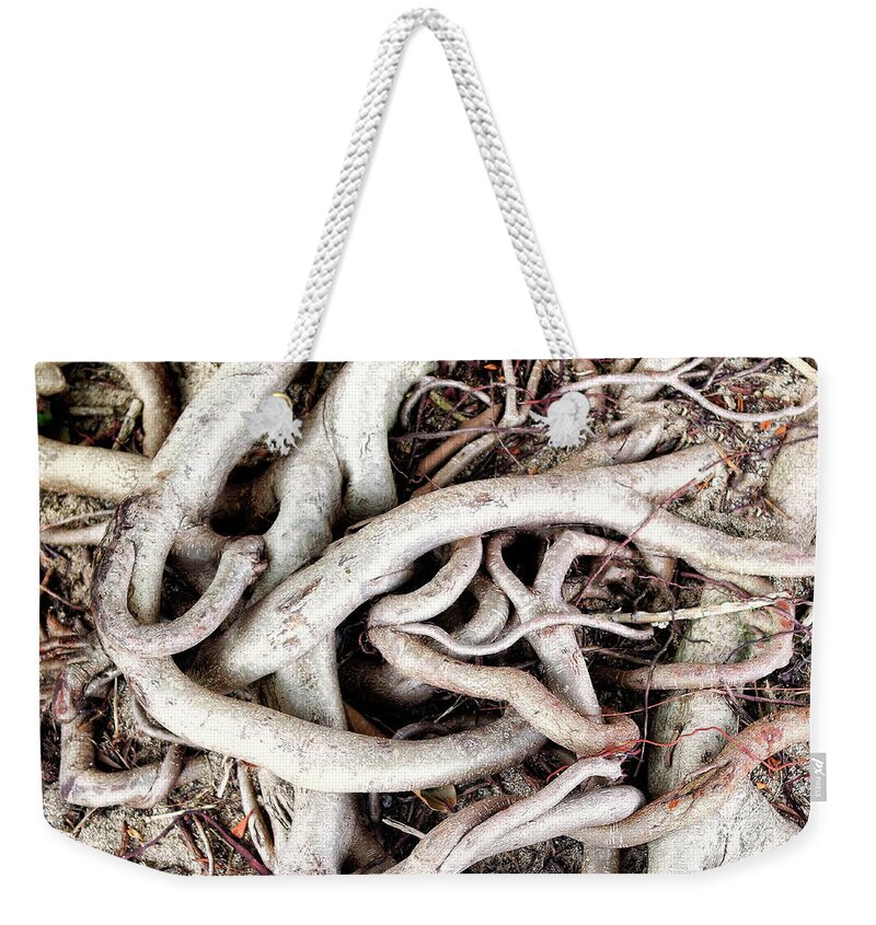 Tree Weekender Tote Bag featuring the photograph Maze #1 by Dominic Piperata