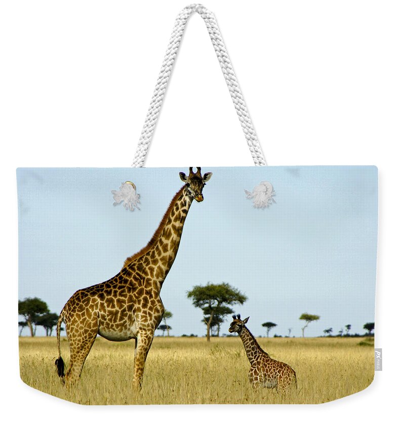 Africa Weekender Tote Bag featuring the photograph Meet My Little One #1 by Michele Burgess