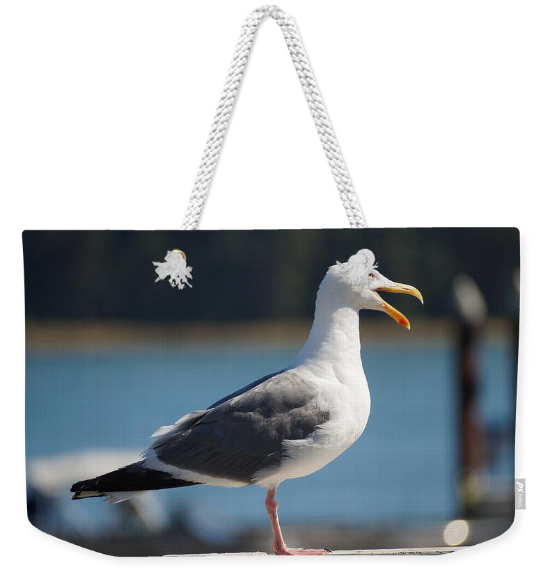 Animal Weekender Tote Bag featuring the photograph Mine #1 by Beth Collins