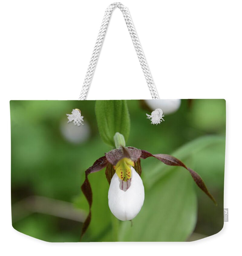 Wildflower Weekender Tote Bag featuring the photograph Mountain Lady Slipper Orchids #1 by Whispering Peaks Photography