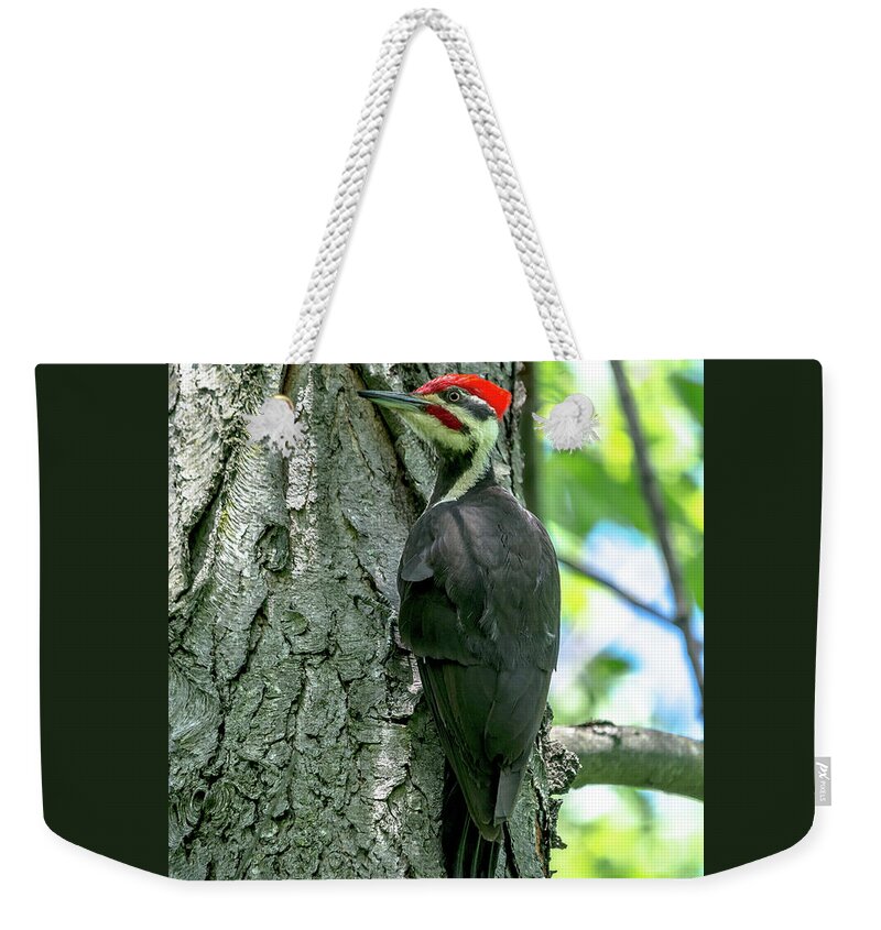 Cheryl Baxter Photography Weekender Tote Bag featuring the photograph Mr. Pileated Woodpecker by Cheryl Baxter