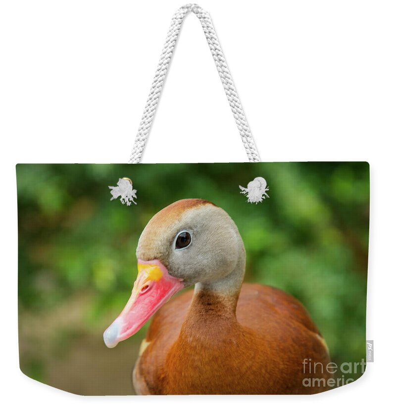 Cameron Park Zoo Weekender Tote Bag featuring the photograph Whistling Duck Best Pose by Bob Phillips