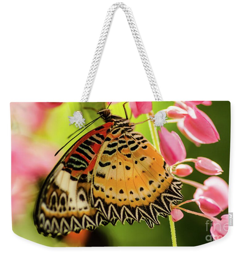 Butterfly Weekender Tote Bag featuring the photograph My Fair Lady #1 by Nick Boren