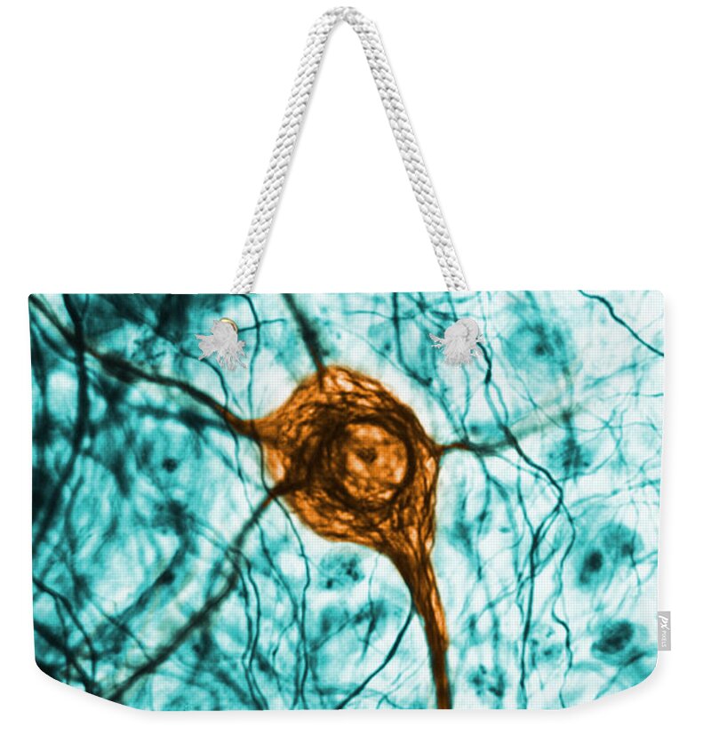 Cell Weekender Tote Bag featuring the photograph Neuron, Tem by Science Source