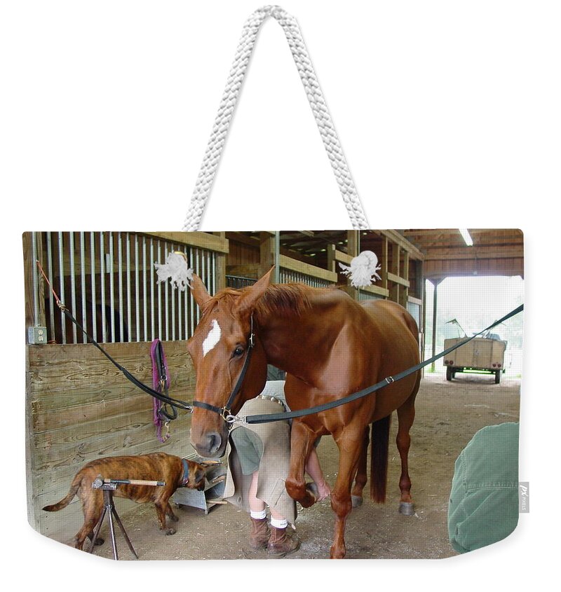 Horse Weekender Tote Bag featuring the photograph New Shoes #1 by Quwatha Valentine