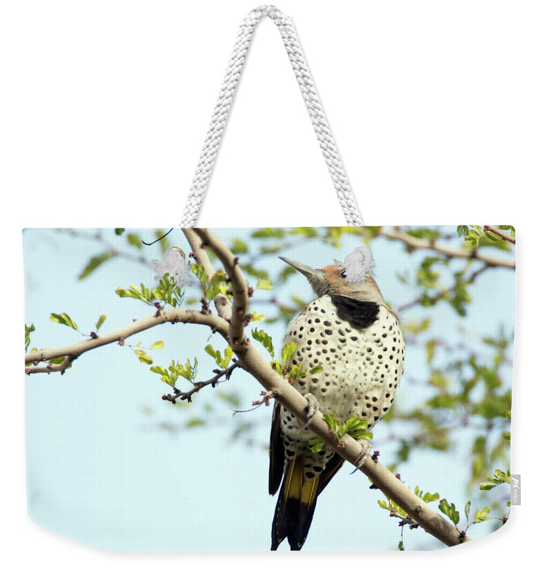 Gilded Weekender Tote Bag featuring the photograph Gilded Flicker #3 by Tam Ryan