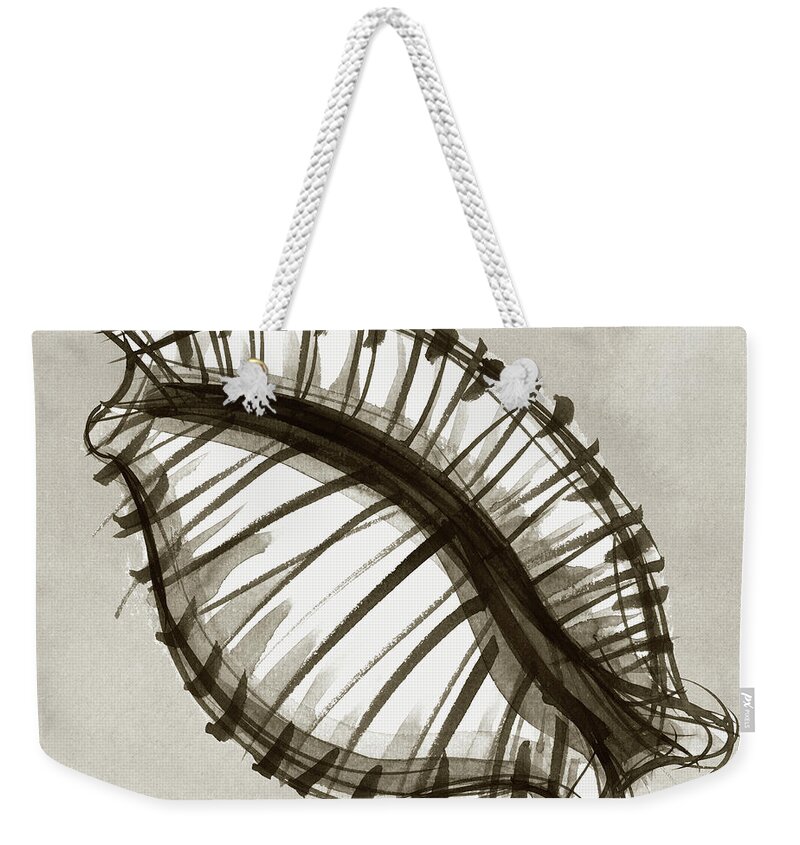 Seashell Weekender Tote Bag featuring the painting Nut Cowrie #1 by Judith Kunzle
