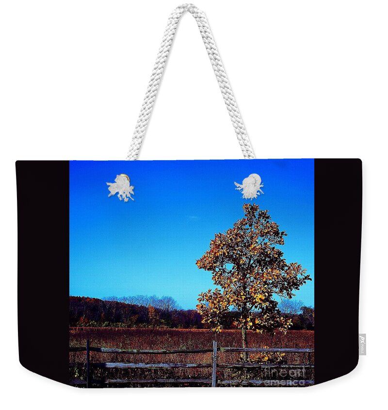 America Weekender Tote Bag featuring the photograph One or Another - Square by Frank J Casella
