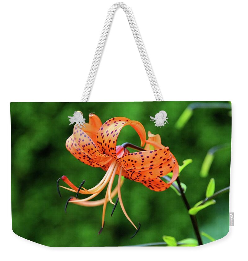 Spots Weekender Tote Bag featuring the photograph One to Keep #1 by Michiale Schneider