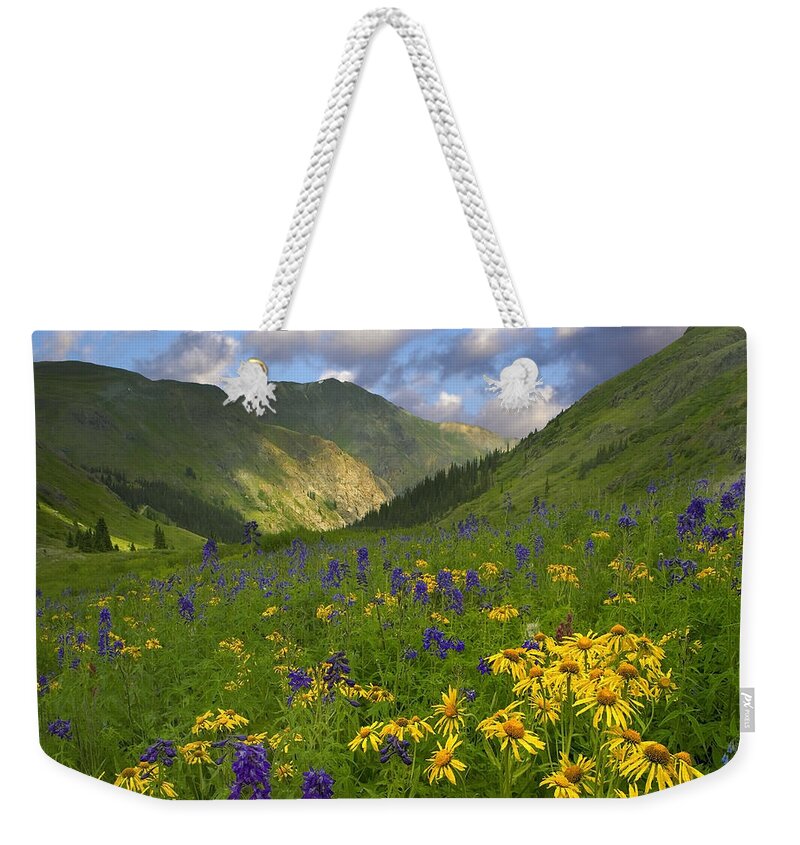 00176057 Weekender Tote Bag featuring the photograph Orange Sneezeweed And Delphinium #1 by Tim Fitzharris