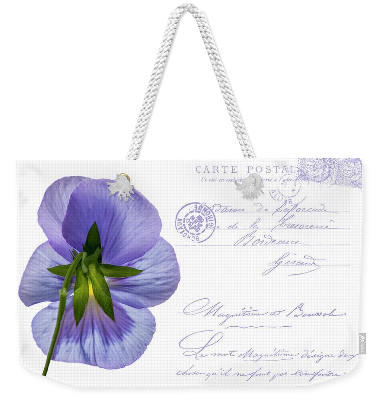 Postcard Weekender Tote Bag featuring the photograph Pansy Postcard by Cathy Kovarik