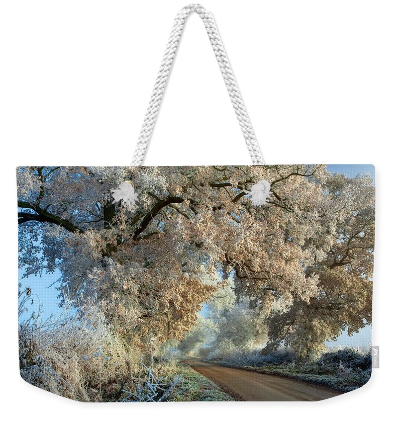 Path Weekender Tote Bag featuring the photograph Path #1 by Mariel Mcmeeking