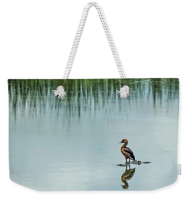 Duck Weekender Tote Bag featuring the photograph Peaceful Morning #1 by Jerry Connally