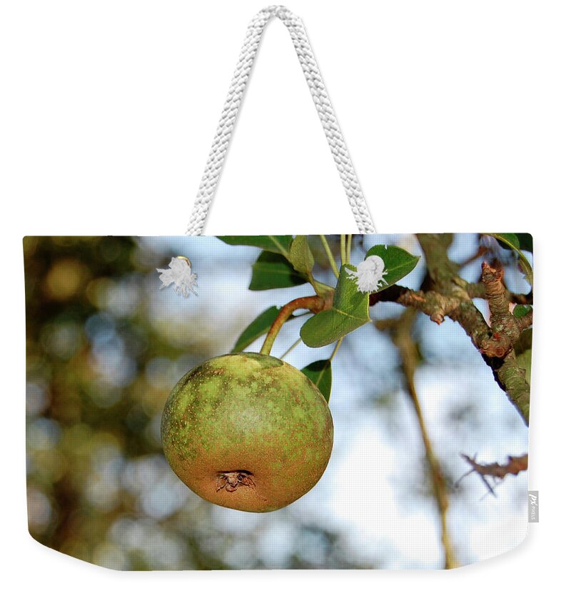 Pear Weekender Tote Bag featuring the photograph Pear #1 by Amber Flowers