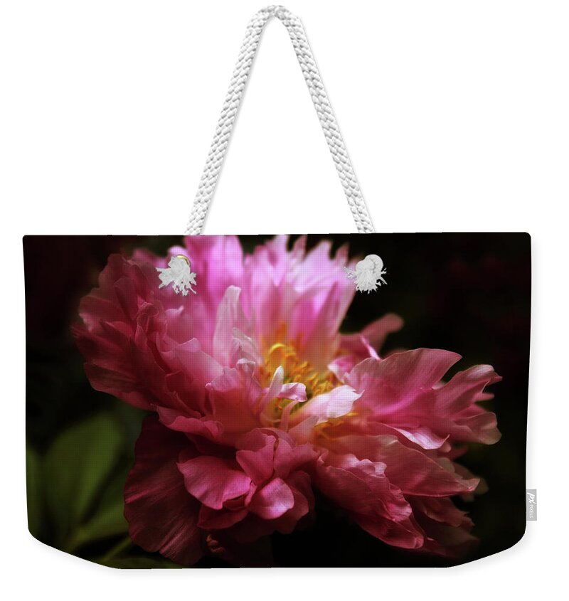 Peony Weekender Tote Bag featuring the photograph Peony Pride #1 by Jessica Jenney