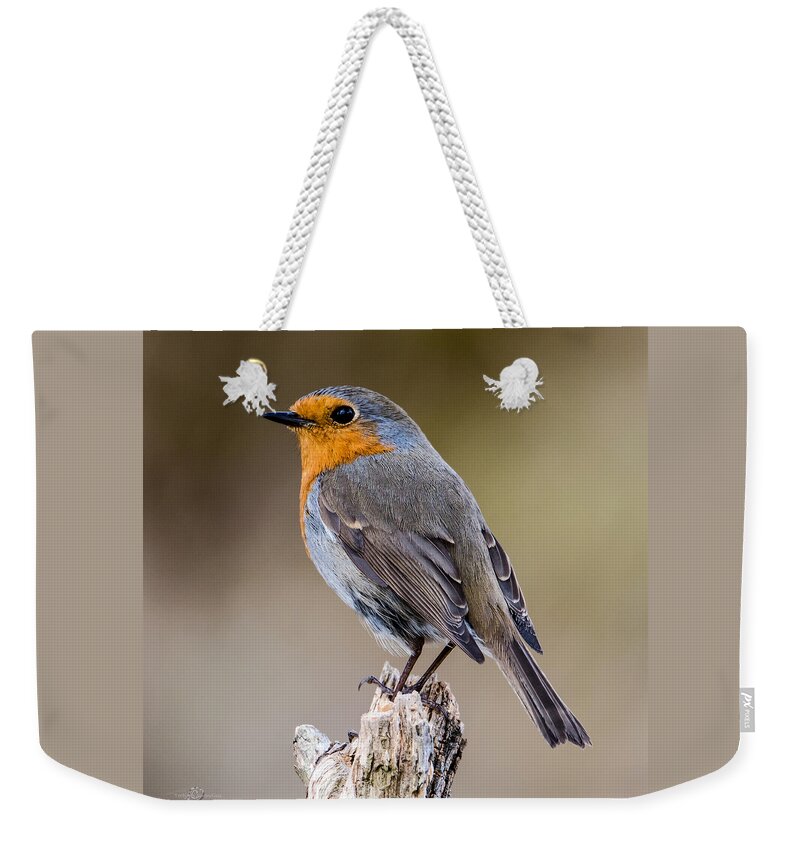 Perching Weekender Tote Bag featuring the photograph Perching Robin by Torbjorn Swenelius