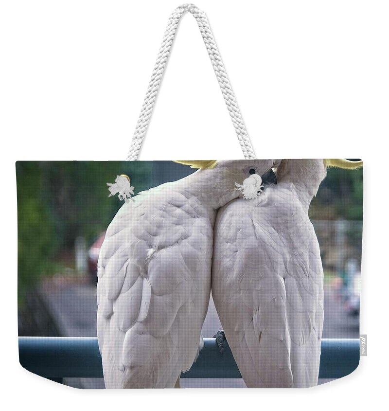 Cockatoo Weekender Tote Bag featuring the photograph Photo Series -Two amorous Australian Sulphur Crested Cockatoos f #1 by Geoff Childs