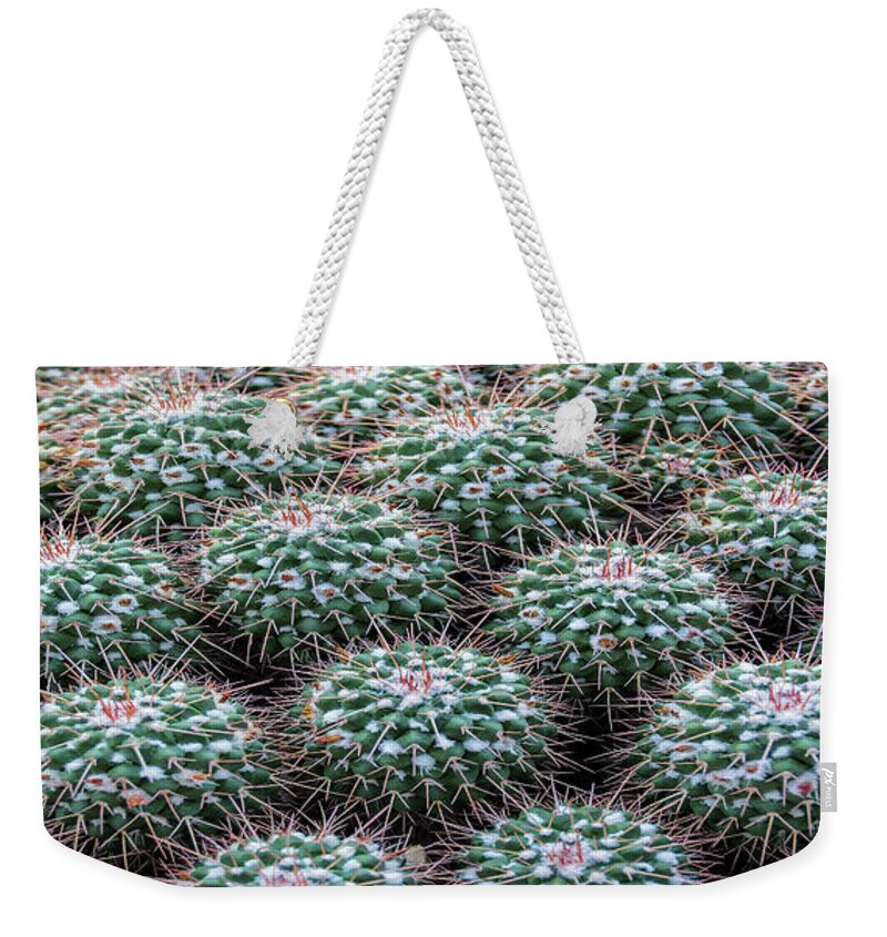Plant Weekender Tote Bag featuring the photograph Pincushion Cactus #2 by Pat Cook