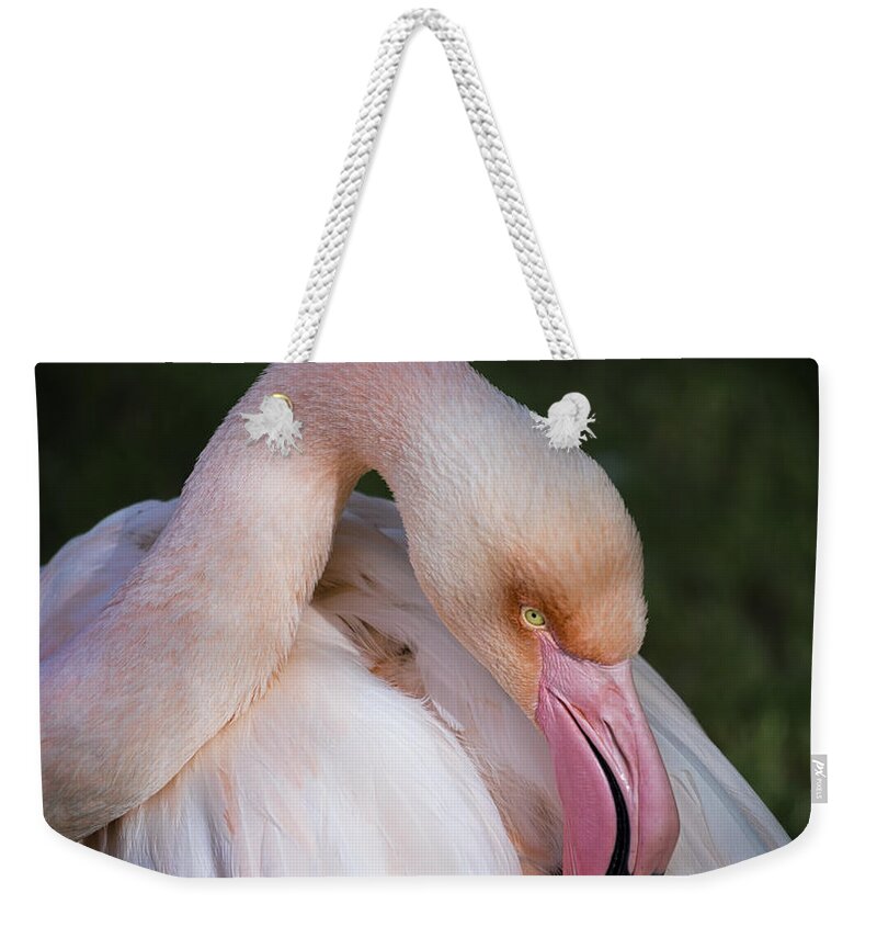 Pink Flamingo Weekender Tote Bag featuring the photograph Pink Flamingo #2 by Saija Lehtonen
