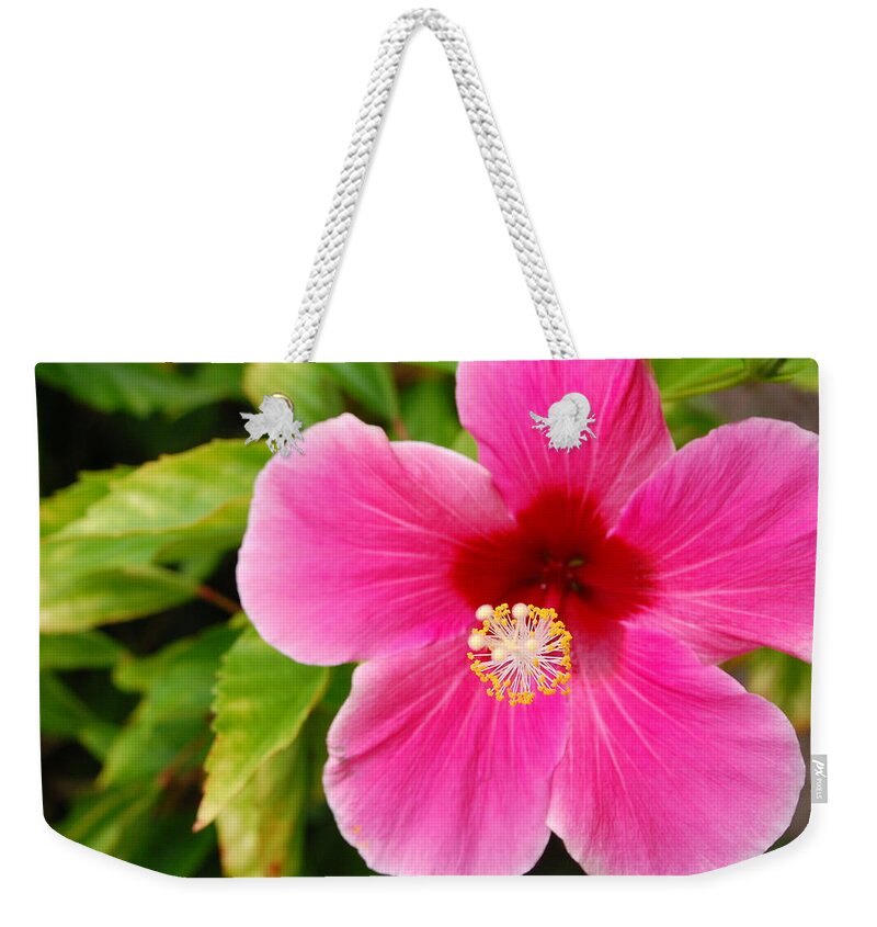 Flower Weekender Tote Bag featuring the photograph Pink Hibiscus by Amy Fose