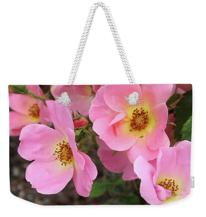 Rose Weekender Tote Bag featuring the photograph Pink Knockout Roses #1 by Ellen Tully