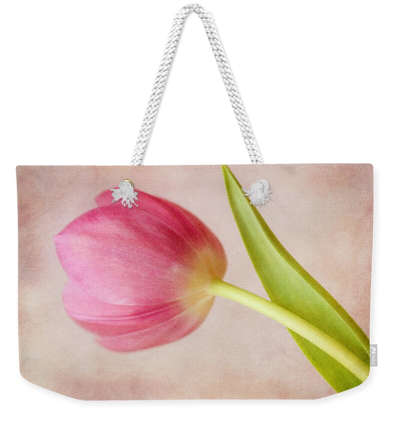 Tulips Weekender Tote Bag featuring the photograph Pink Tulip #2 by Cindi Ressler