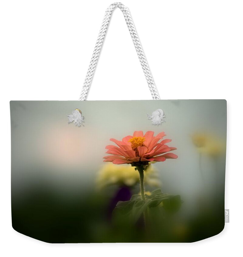 Art Weekender Tote Bag featuring the photograph Pink Zinnia I by Joan Han
