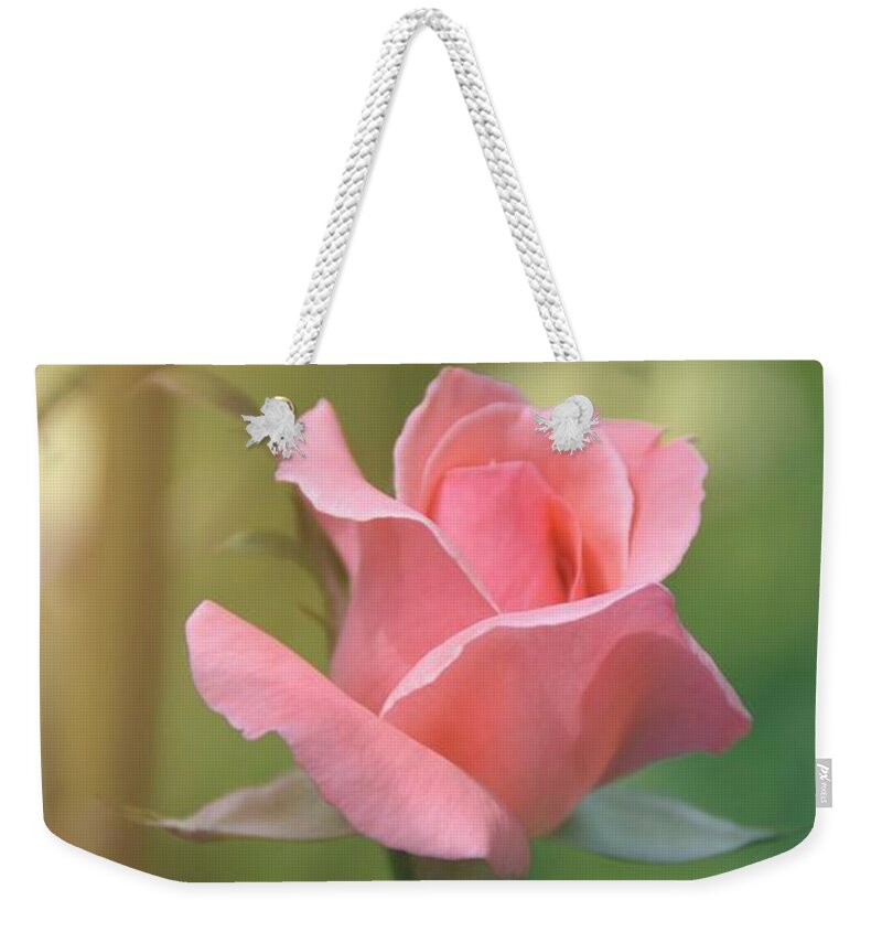 Rose Weekender Tote Bag featuring the photograph Pinkest Pink by JAMART Photography