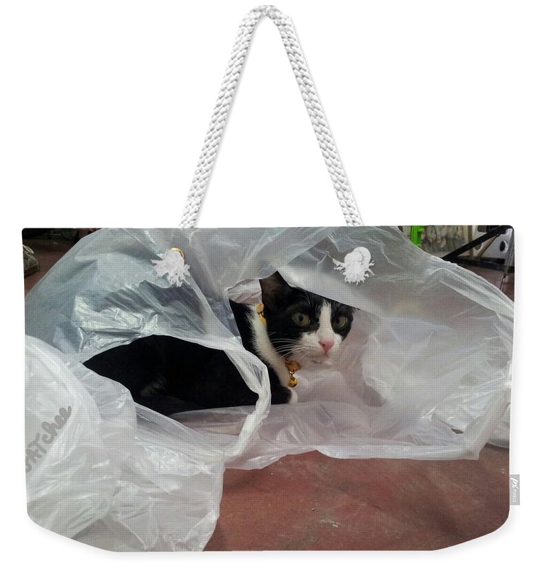 Gatchee Weekender Tote Bag featuring the photograph Playing of A Cat by Sukalya Chearanantana