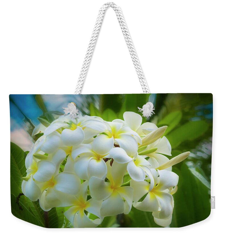 Family Weekender Tote Bag featuring the photograph Plumeria 6 by Jim Thompson