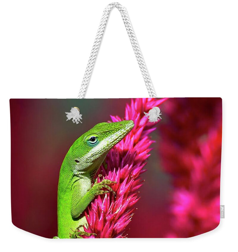 Reptiles Weekender Tote Bag featuring the photograph Pretty In Pink #1 by Kathy Baccari