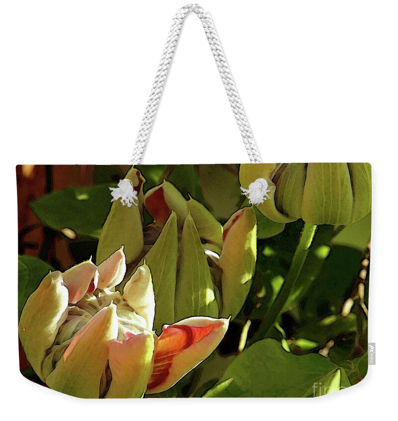 Clematis Weekender Tote Bag featuring the photograph Pretty Josephine 6 by Kim Tran