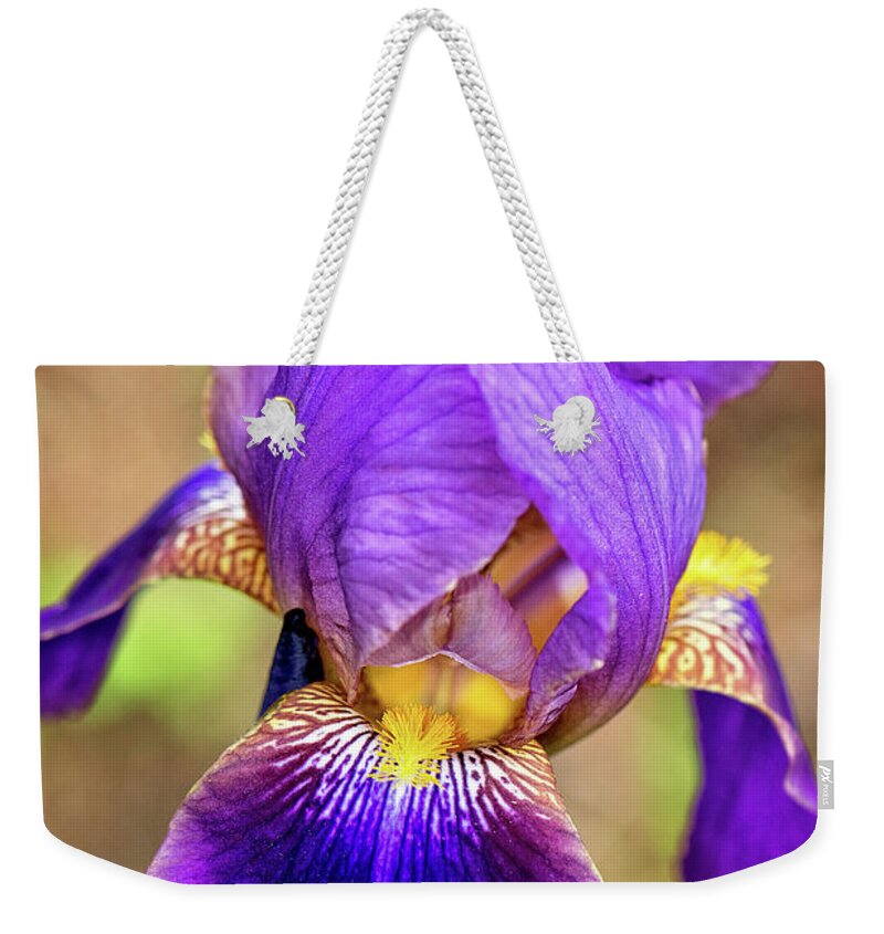 Purple Bearded Iris Print Weekender Tote Bag featuring the photograph Purple Bearded Iris Print #1 by Gwen Gibson