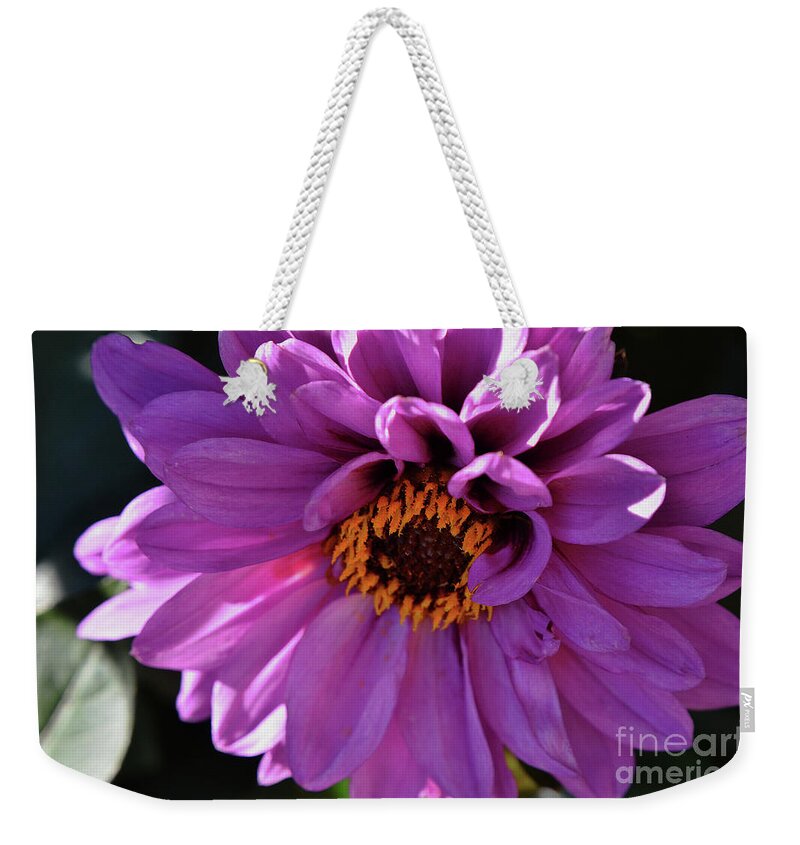 Dahlia Weekender Tote Bag featuring the photograph Purple by Debby Pueschel