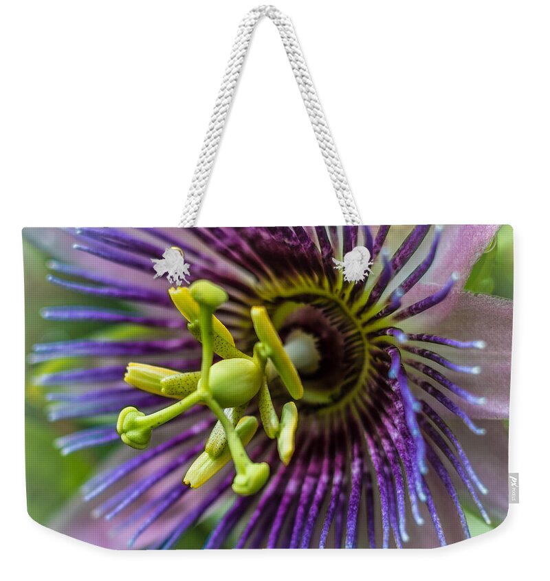 Nature Weekender Tote Bag featuring the photograph Purple Passion by George Kenhan