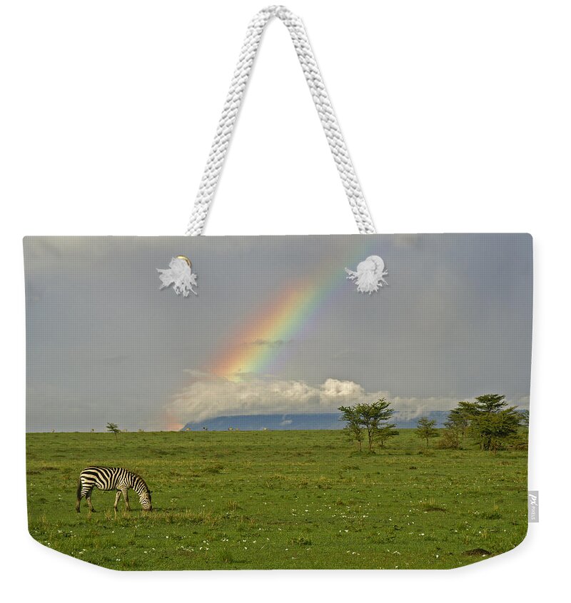 Africa Weekender Tote Bag featuring the photograph Rainbow Over the Masai Mara #1 by Michele Burgess