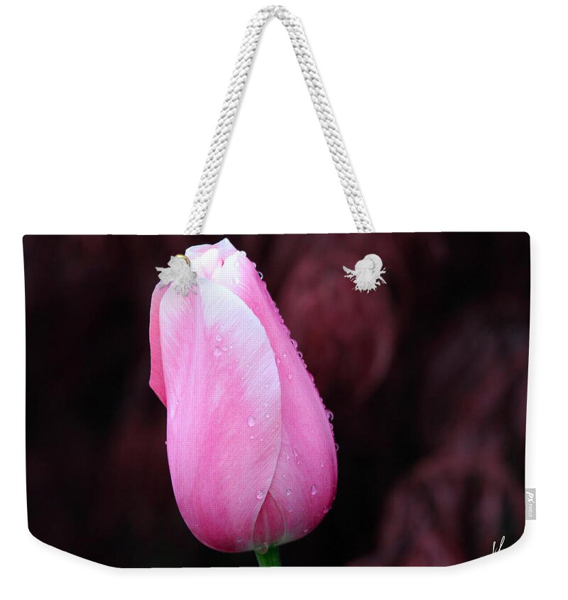 Tulip Weekender Tote Bag featuring the photograph Raindrops #1 by Jackson Pearson