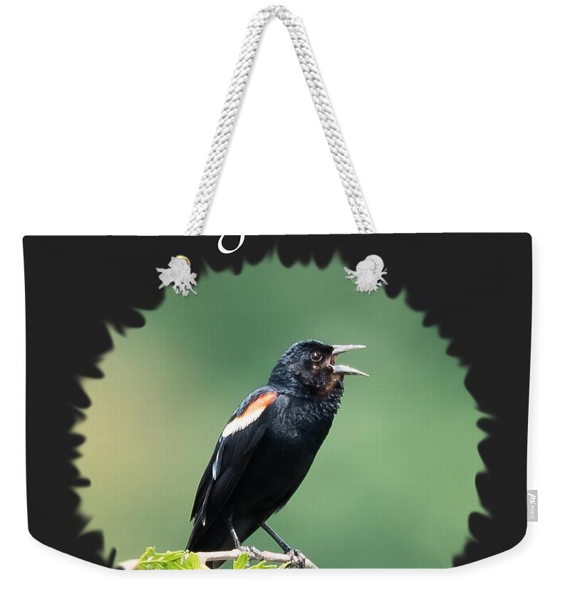 Red-winged Blackbird Weekender Tote Bag featuring the photograph Red-Winged Blackbird by Holden The Moment