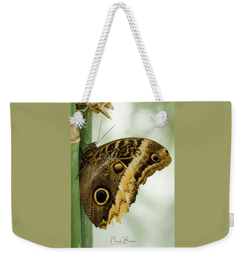 Butterfly Weekender Tote Bag featuring the photograph Resting #1 by Nick Boren