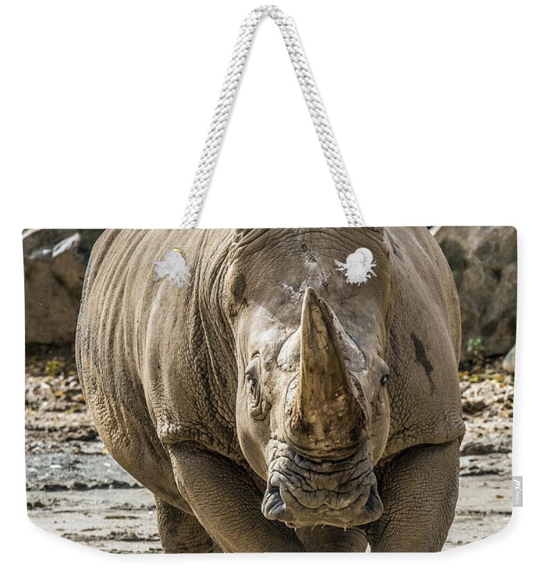 Rhino Weekender Tote Bag featuring the photograph Rhino Walking Toward You #1 by William Bitman