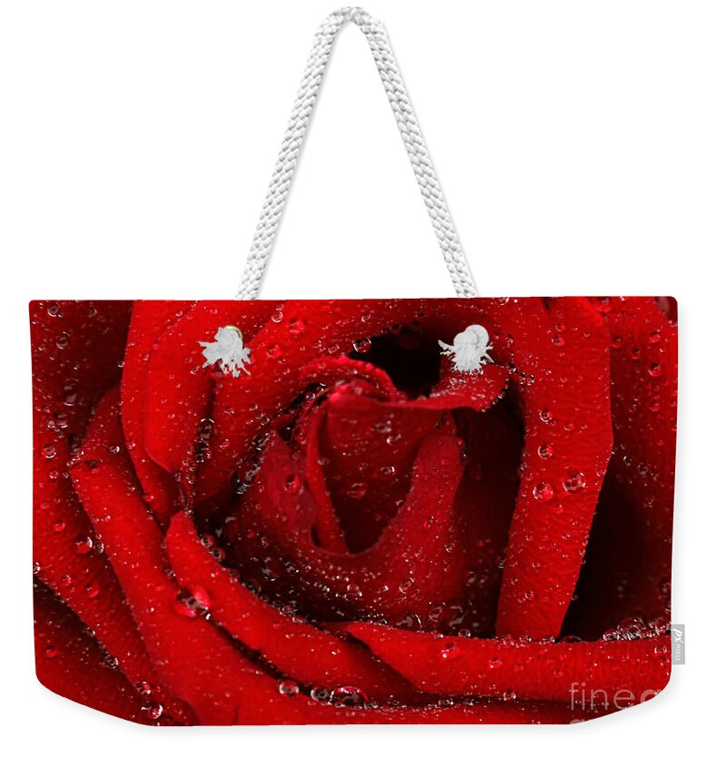 Rose Of Love Weekender Tote Bag featuring the photograph Rose of Love #1 by Darren Fisher